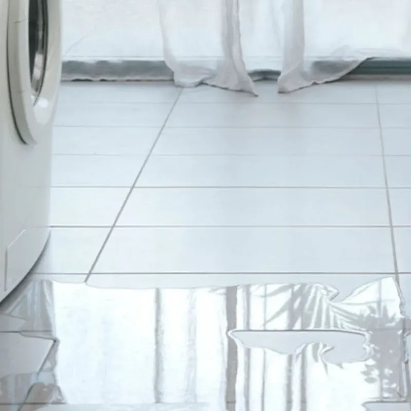 Appliance Leak Cleanup in Screven County, GA