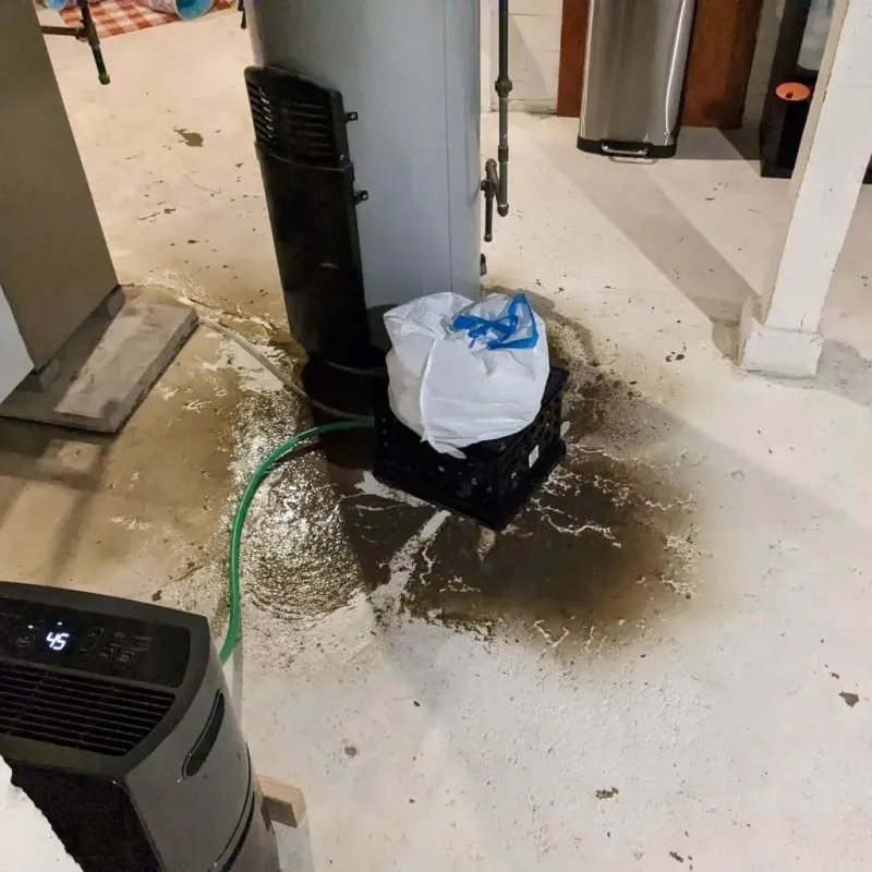 Sewage Backup Cleanup Service in Screven County, GA